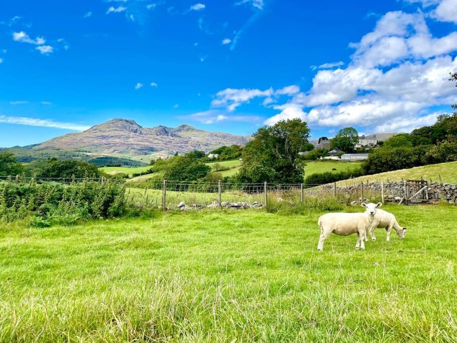 The Walkers' Cwtch Daire Ffestiniog Dış mekan fotoğraf